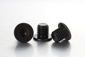 สกรูหัวจมหกเหลี่ยมหัวจมต่ำพิเศษ CBSS CBSTS