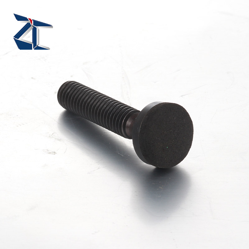 สกรูด้วงสแตนเลส