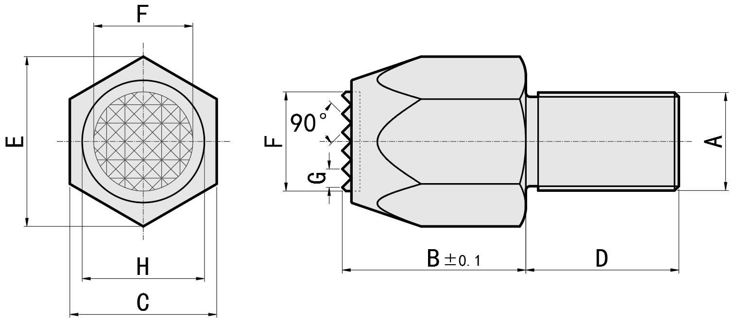 ฟุตฟันปลาปลาย ZT46