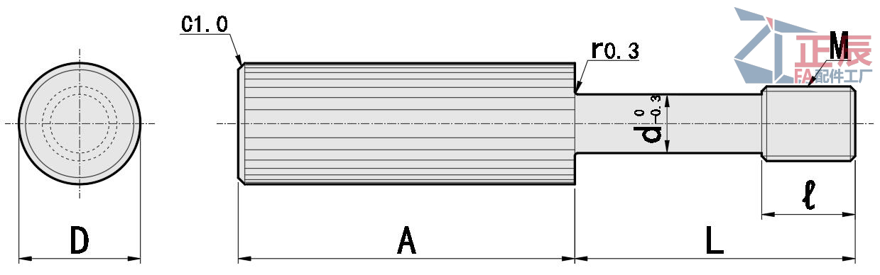 สกรูยึด หัวขึ้นลาย หัวยาว สเตนเลส GUTBR