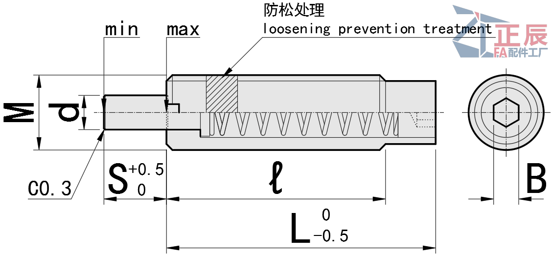 ลูกดันสปริง โนส แบน PJLF