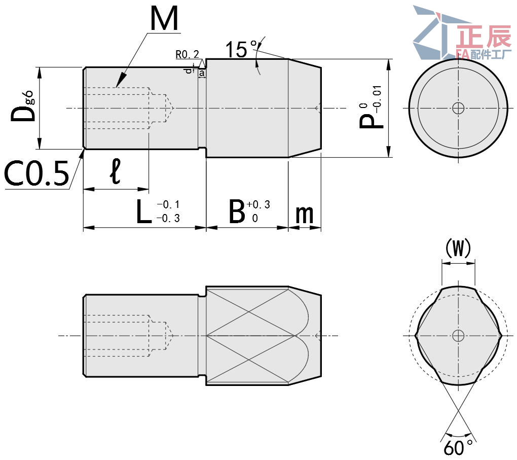 หมุดกำหนดตำแหน่งหัวใหญ่ แบบกลม/ หัวเพชร ปลายเรียว JPBTB