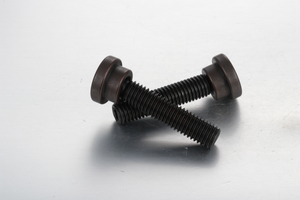 ชุดสกรูด้วงมีจุดรับแรงกด SGTS SGTP