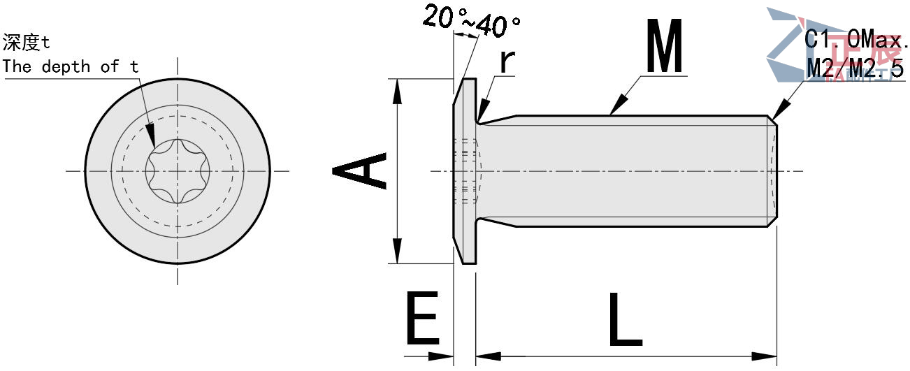 สกรูฝาครอบซ็อกเก็ต Torx รายละเอียดต่ำพิเศษ CBSTSE M2 M6