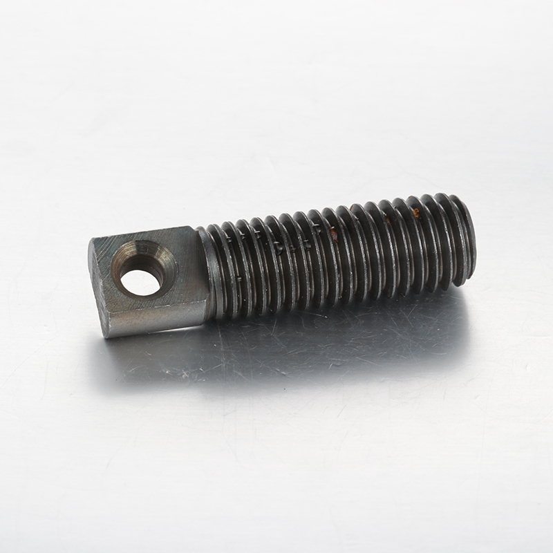 สปริงสตรัท