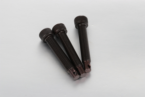 พุกสปริง - รูทรงตัว L ASPL SASPL